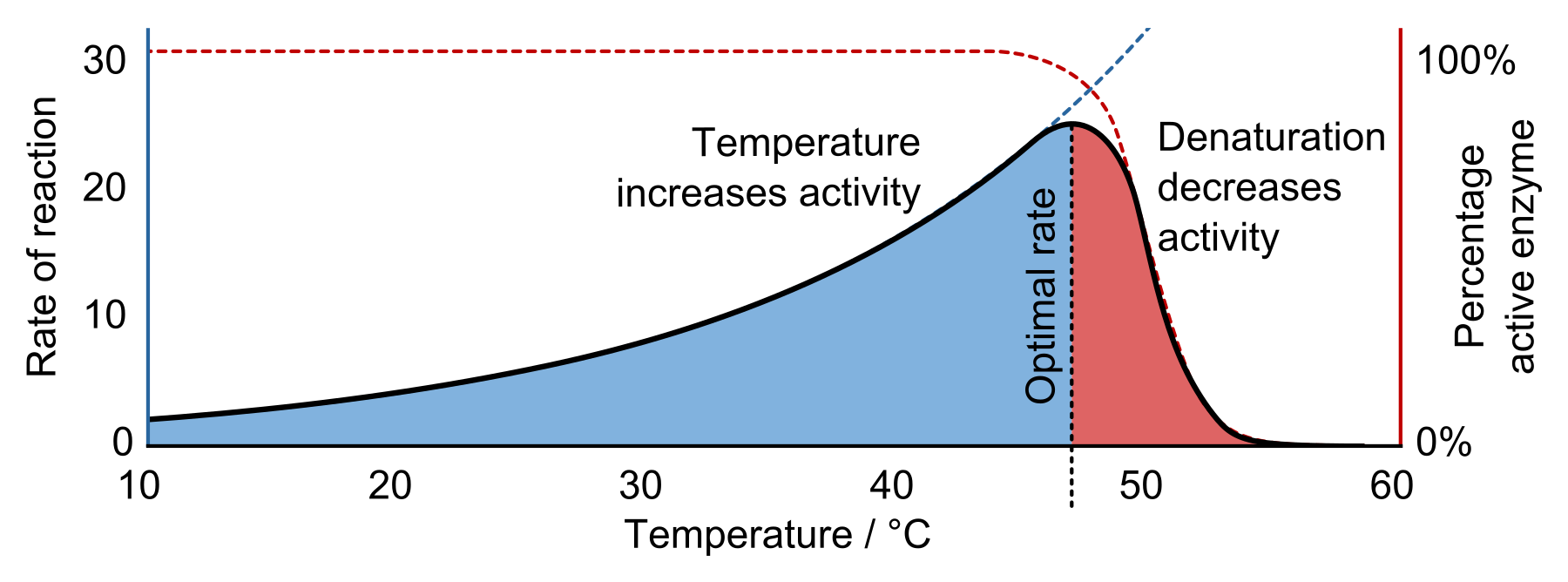 An illustration for rate of reaction as a function of temperature.